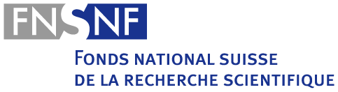 FNS Logo